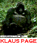 KLAUS PAGE